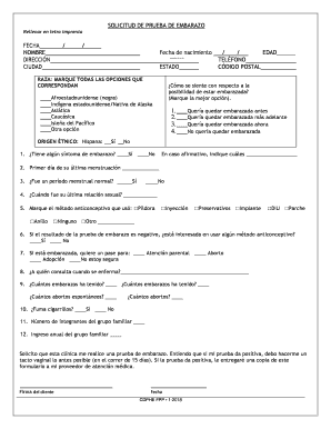 Descargar PDF De Prueba De Embarazo Para Editar Form